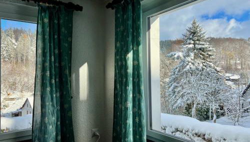 Urige Berghütte mit Kamin und Sauna im Erzgebirge nahe Schwarzwassertal - Photo 4