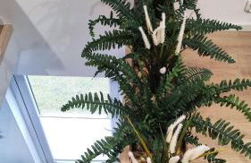 Morze Wyspa - Photo 26