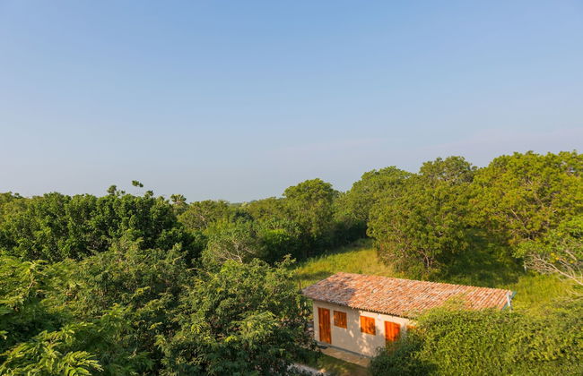 Forestville Yala - Foto 12