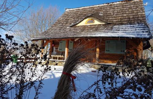 Jabłoniowy Sad Kalwaria Pacławska - Foto 27