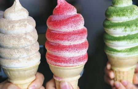 Cozy Laurelhurst Retreat - Photo 13