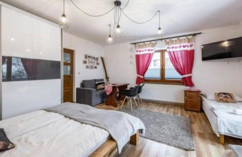 Domek z Góralską Duszą Śleboda - Foto 3