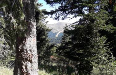 maison cosy proche de la station de ski du lioran 4 personnes - Photo 16