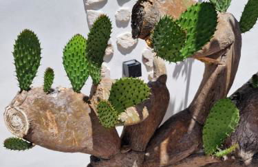 Villa Old fisherman's - Foto 19