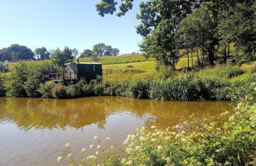 Snug & Secluded Lakeside Shepherds Hut 'Carp' - Foto 21