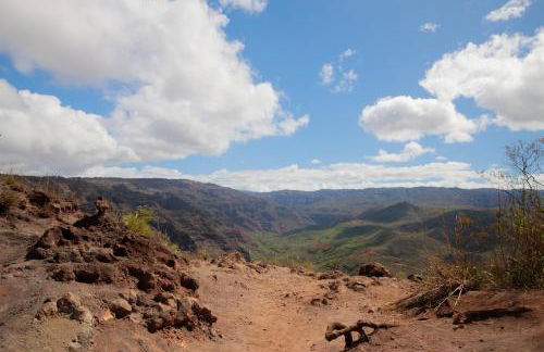 2 Bedroom Kapaa Condo with Pool and AC 115 - Foto 36