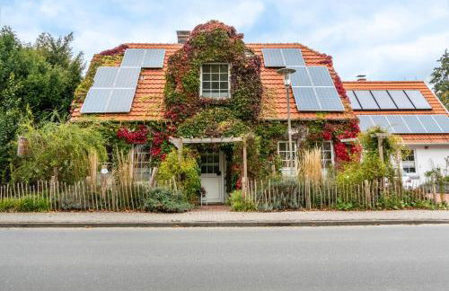 Menschen Meehr und wilder Wein - Foto 1