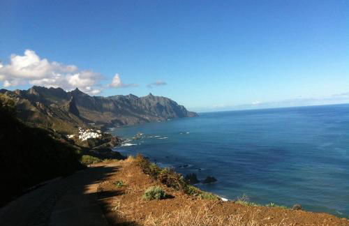 Benavides 5 - Foto 31