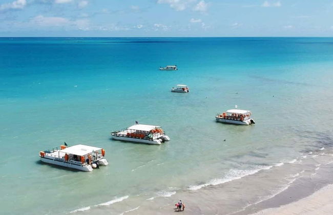 Excursión a Maragogi - Foto 6