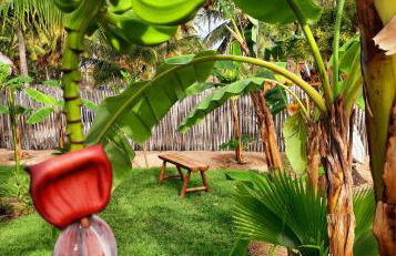 Côco Verde - Pousada Icaraí Kite Village - Foto 33