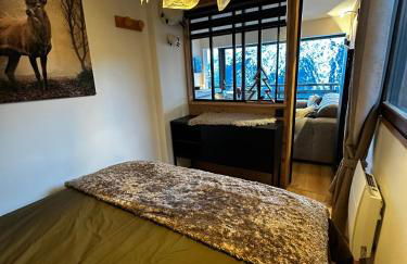 Face au glacier - Photo 21