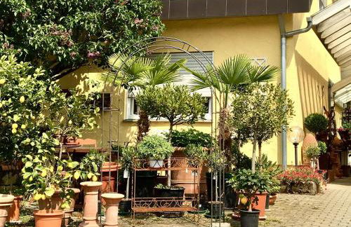 Casa Limone - Foto 1