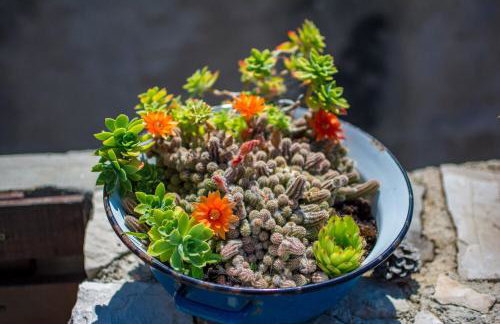 House Stone - Foto 21