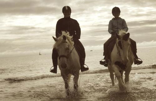 Ferienparadies Grube - Foto 25