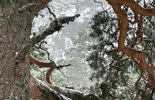 La casa del Alamo - Foto 26