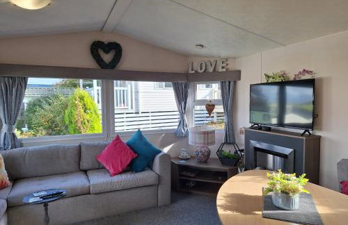 The Hummingbird - Photo 7