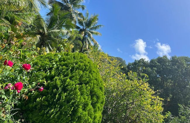 Paul's Residence - Foto 30