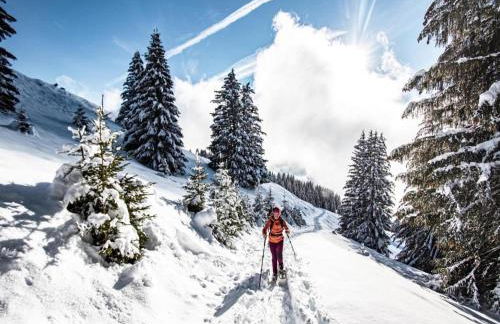 Apartment in Petit Châtel near Cable Car - Foto 21