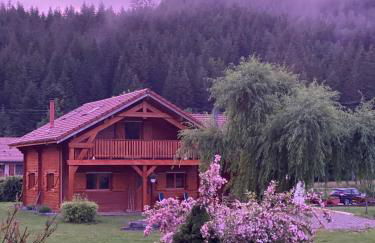 Le Chalet de la Devinière, bain nordique extérieur chauffé - Foto 20