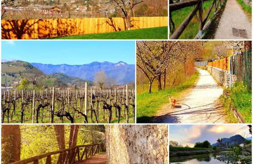 Casa Lorelein - Foto 39