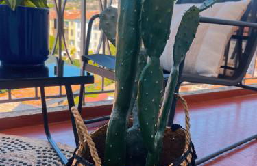 Au 5eme ciel - Foto 24