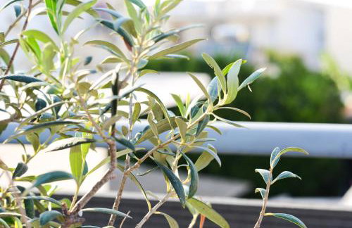 Casa terrazzo - Foto 26