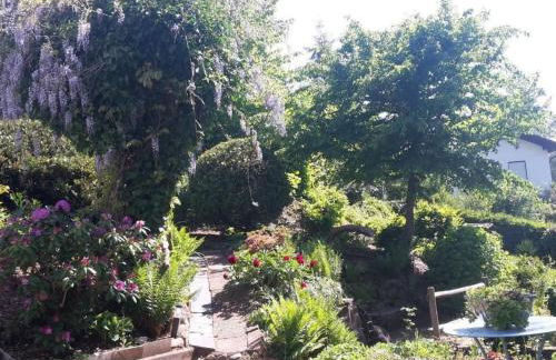 Apartment in Zendscheid mit Offenem Kamin by Interhome - Foto 37