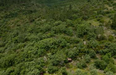 Casa do Vale do Papo - Foto 59