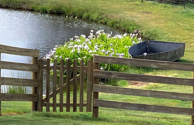 Hazelcreek Cottages - Photo 19