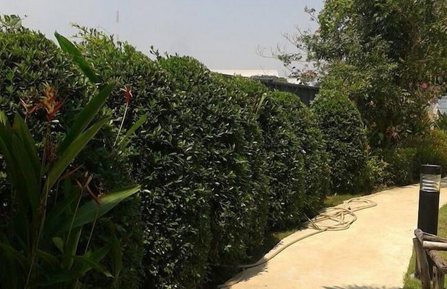 The Kith Condo Garden View - Photo 13