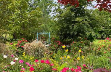 Casetta dipinta Fattoria dei fiori - Photo 60