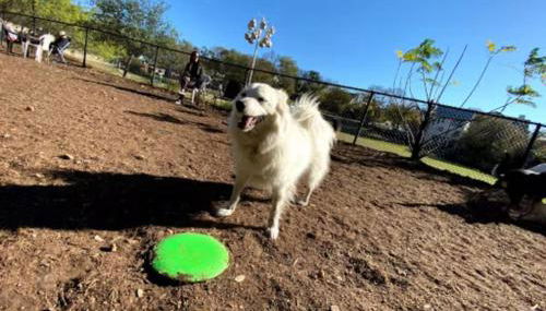 Steps to Downtown- Cozy studio - Quiet neighborhood - Foto 3