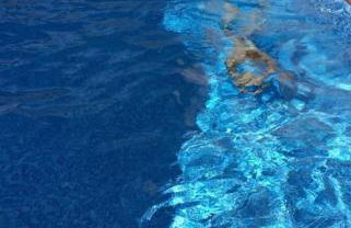 Baleal Beach Apartment - Foto 21