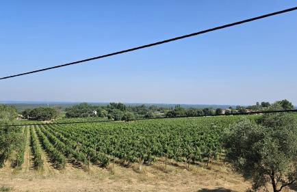 Pool Sea & Country side Villa - Foto 22