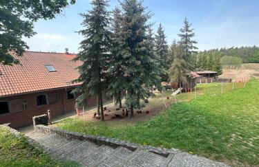 Stajnia Lipowo 45 - Foto 73