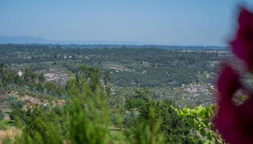 Casa dos Cabecinhos - Foto 5