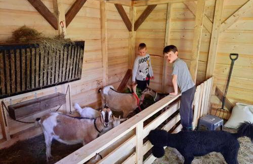 Osada Jelonki Wielka Puszcza - Foto 79