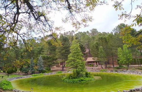 La cabaña del lago en ZAFIRO LAGUNAZO Parque Natural del Río Mundo - Foto 34