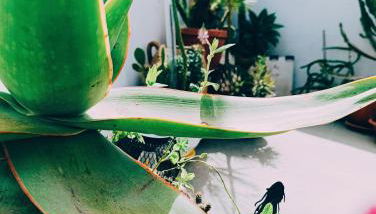 Le volte di Umberto Scirocco - Foto 5, Garden, Garden view