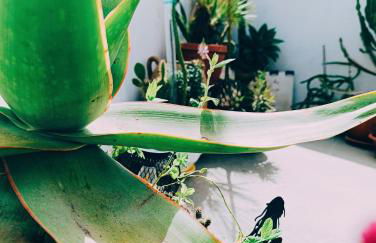 Le volte di Umberto Scirocco - Foto 5