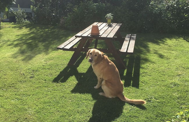 Sólheimar Studio Apartments - Foto 20