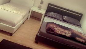 Stuttgart to Ulm - Foto 4