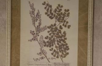 Vivienda Uso Turístico Prado novo - Foto 2