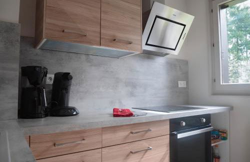 Un séjour ressourçant en Alsace entre vignes et montagnes l'Escapade Barochaise à 20mn de Colmar - Foto 9