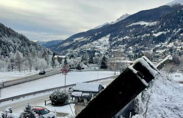 MONOLOCALE STELLALPINA - PONTE DI LEGNO- - Foto 28