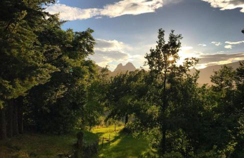 Masia Cap del Roc - Photo 54