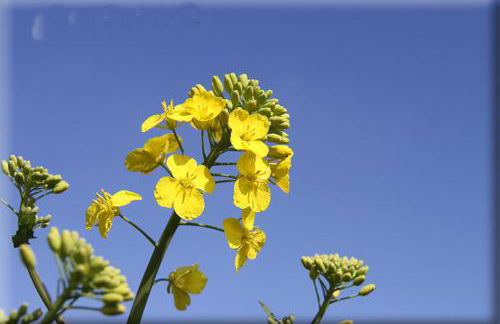 Deutsches Haus Apartments - Foto 31