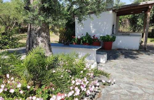 Beachfront cottage house in olive grove - Foto 43