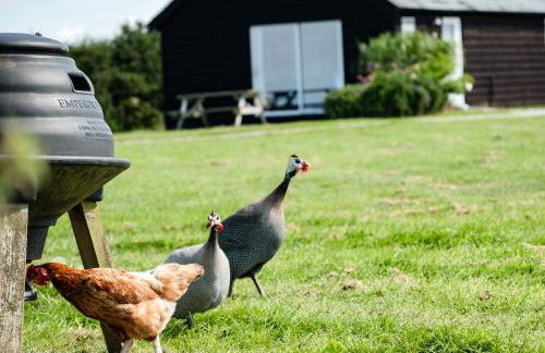 Puffin Lodge - Photo 22