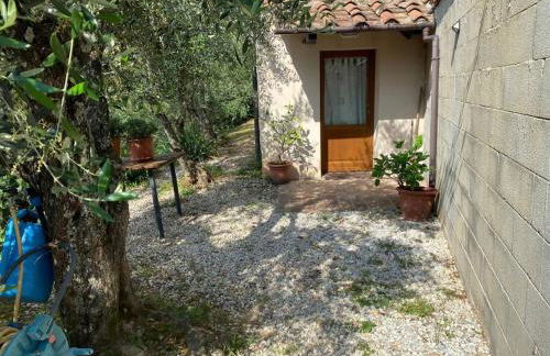 Rivolta home - Foto 15